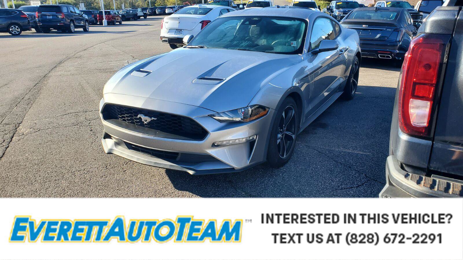 Used 2022 Ford Mustang Coupe w/ Equipment Group 101A RWD image 1