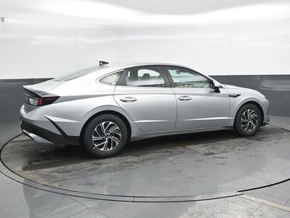 New 2026 Hyundai Sonata Blue