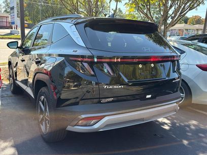 Used 2025 Hyundai Tucson SEL