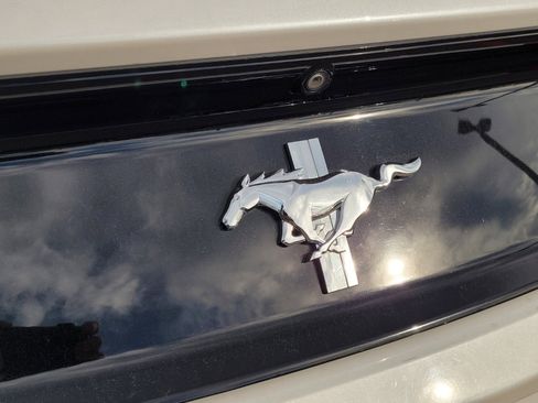 Used 2017 Ford Mustang V6 image 5