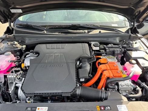 New 2026 Hyundai Elantra Limited FWD image 24