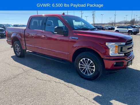 Used 2018 Ford F150 XLT w/ Equipment Group 302A Luxury image 8