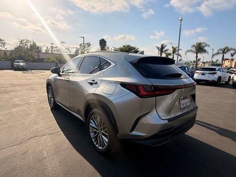 Used 2024 Lexus NX 350h AWD w/ Vision Package image 6
