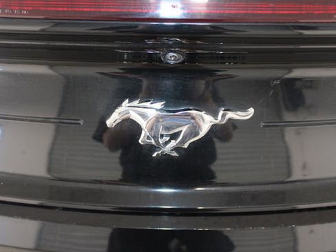 Used 2023 Ford Mustang Premium image 13