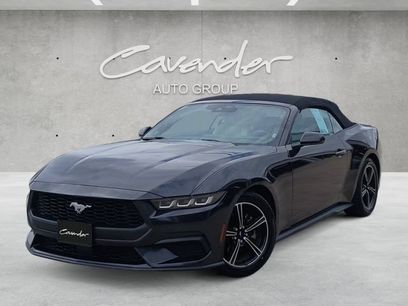 Used 2024 Ford Mustang Premium