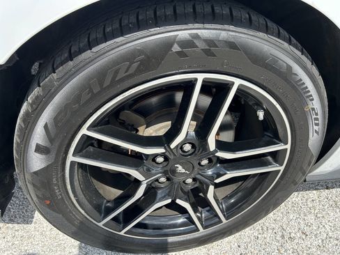 Used 2019 Ford Mustang Premium image 20