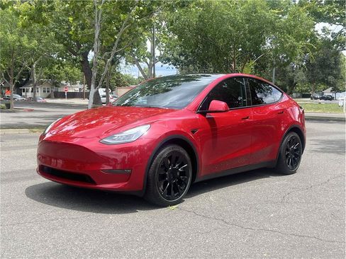 Used 2021 Tesla Model Y Long Range AWD/4WD image 3