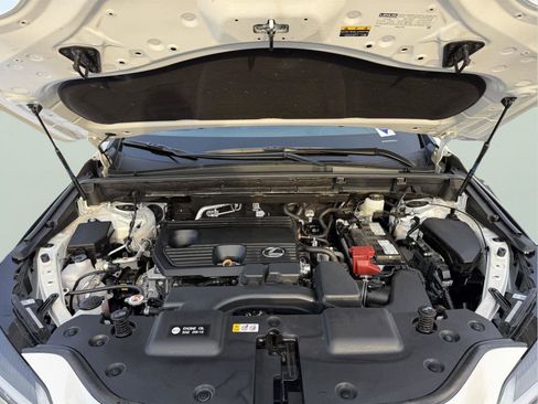 Used 2025 Lexus NX 250 AWD w/ Cold Area Package image 30