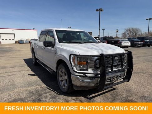 Used 2021 Ford F150 XLT w/ Equipment Group 302A High image 1