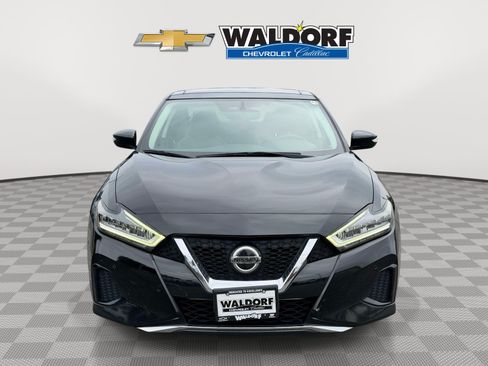 Used 2019 Nissan Maxima 3.5 SL w/ Floor Mat Group FWD image 6