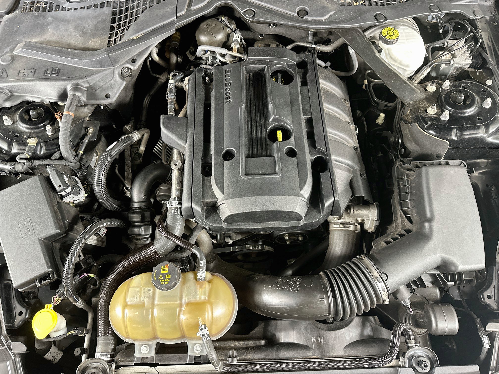 Used 2018 Ford Mustang Convertible w/ Equipment Group 101A RWD image 28