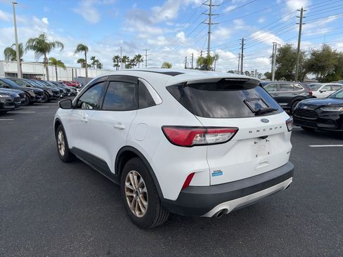 Used 2020 Ford Escape SE image 5