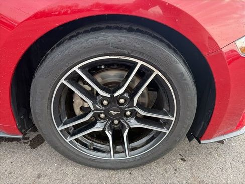 Used 2021 Ford Mustang Coupe w/ Equipment Group 101A image 3