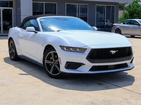 Used 2025 Ford Mustang Premium RWD image 2