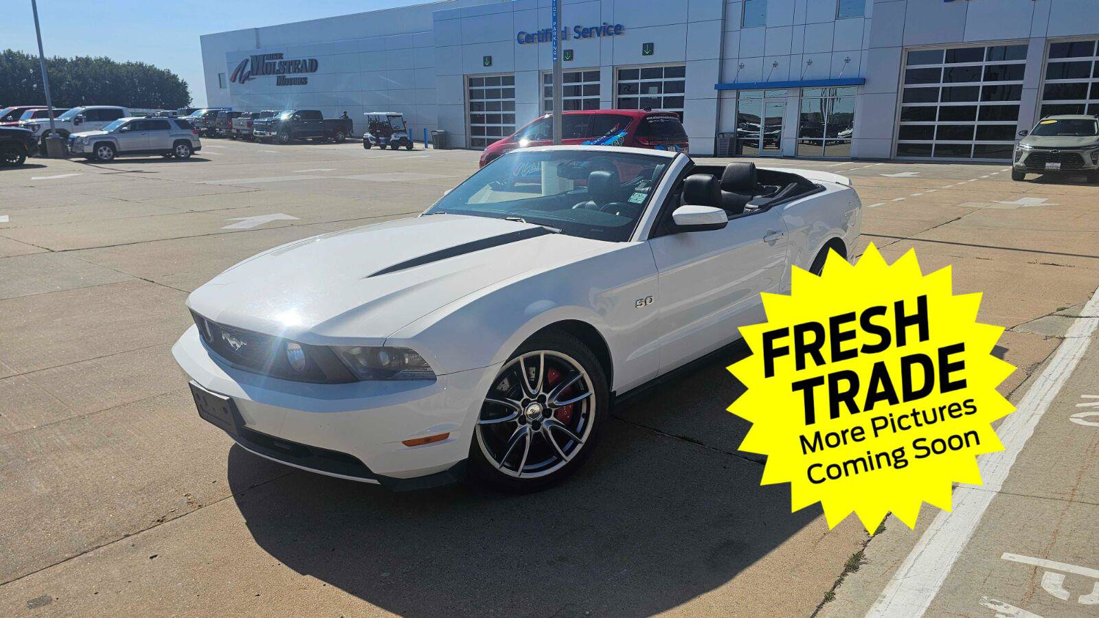Used 2011 Ford Mustang GT Premium w/ Brembo Brake Pkg RWD image 1
