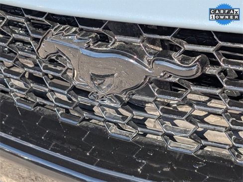 Used 2024 Ford Mustang GT w/ Mustang Nite Pony Package image 21