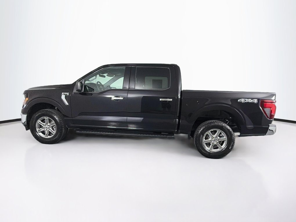 Used 2025 Ford F150 XLT w/ Equipment Group 301A Standard AWD/4WD image 6