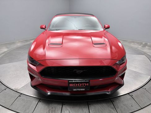 Used 2019 Ford Mustang Premium RWD image 2