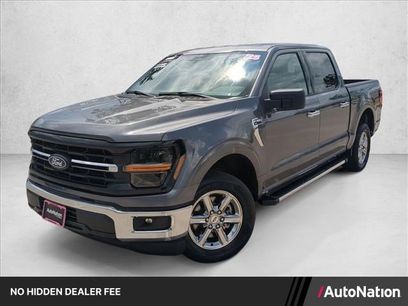 Used 2025 Ford F150 XLT w/ Equipment Group 301A Standard