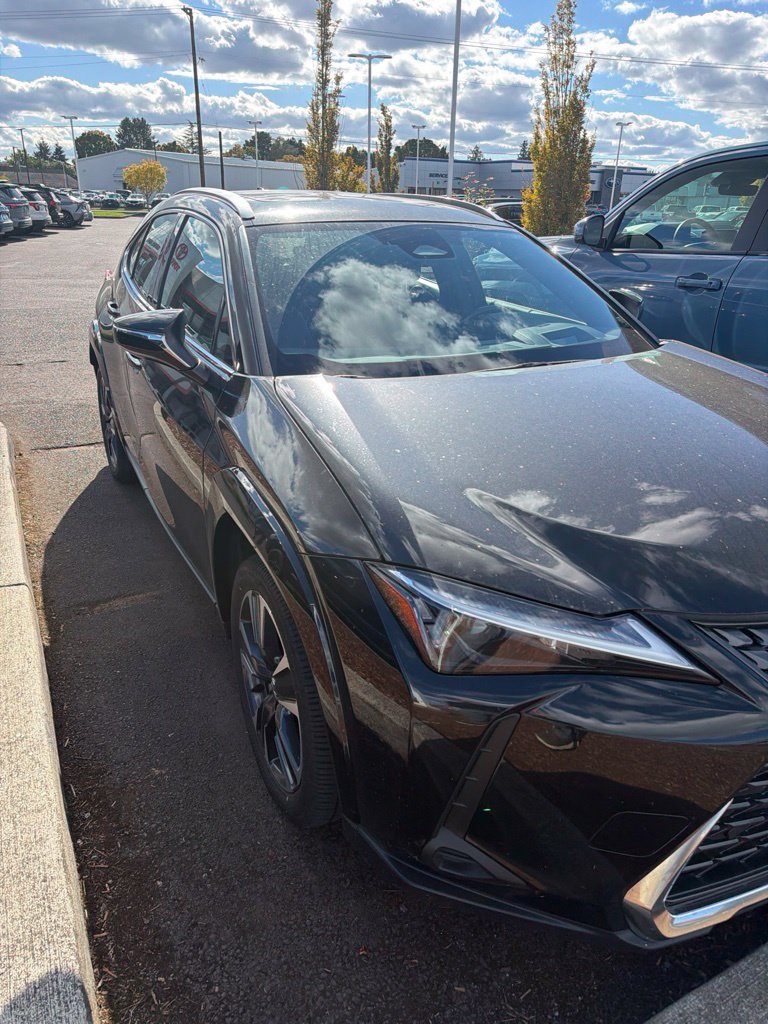 Used 2025 Lexus UX 300h AWD w/ Cold Area Package image 2
