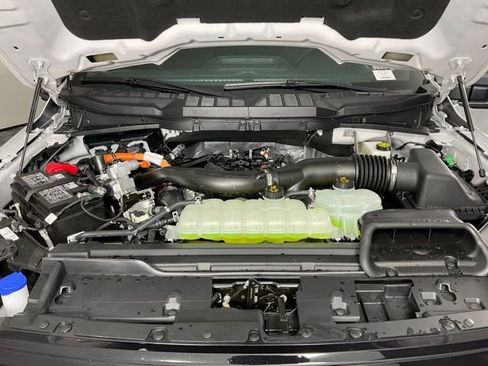 New 2025 Ford F150 XLT w/ Equipment Group 302A MID image 9