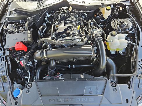 Used 2025 Ford Mustang Coupe image 31