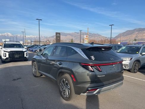 Used 2025 Hyundai Tucson Limited image 7