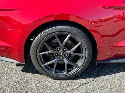 Certified 2023 Ford Mustang Premium w/ 2.3L High Performance Package image 15