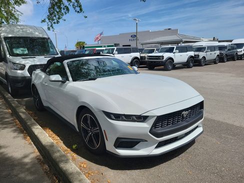 Used 2024 Ford Mustang Premium image 3