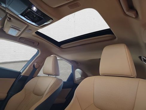 Certified 2025 Lexus NX 350h AWD w/ Cold Area Package image 28