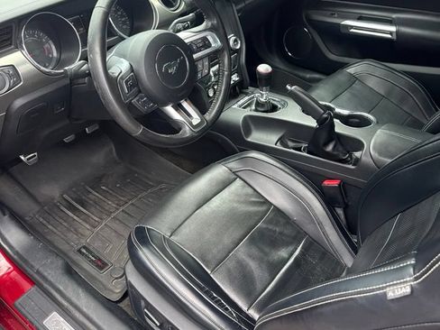 Used 2015 Ford Mustang GT Premium w/ 50 Years Appearance Package RWD image 5