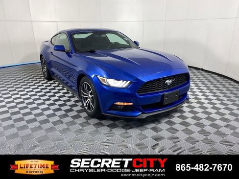 Used 2017 Ford Mustang Coupe RWD image 1