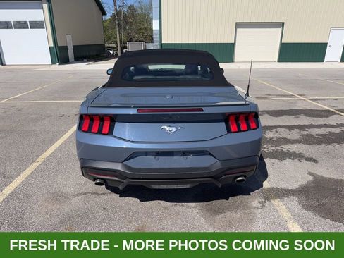 Used 2025 Ford Mustang Premium image 3
