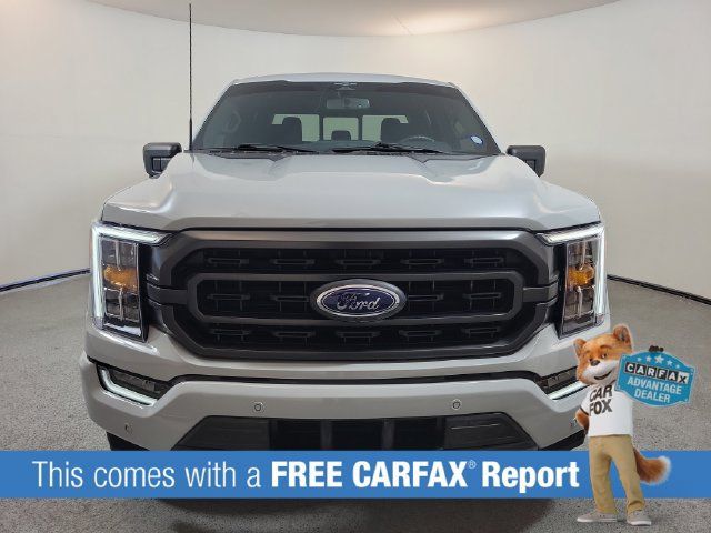 Used 2023 Ford F150 XLT w/ Equipment Group 302A High AWD/4WD image 2