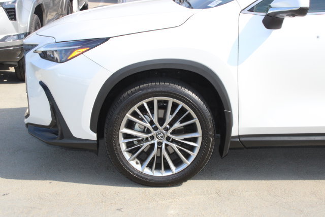 Certified 2025 Lexus NX 350 AWD w/ Cold Area Package image 4