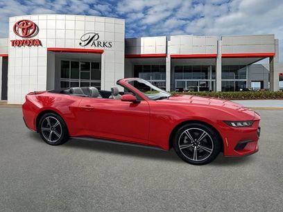 Used 2024 Ford Mustang Premium