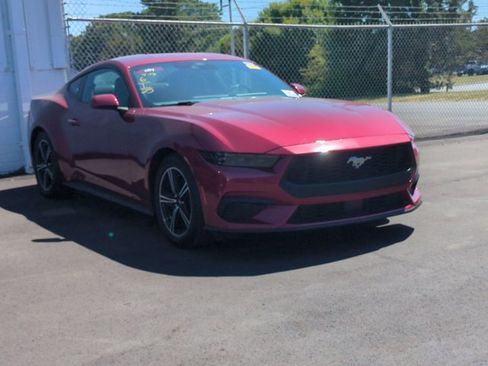 Certified 2025 Ford Mustang Coupe RWD image 1