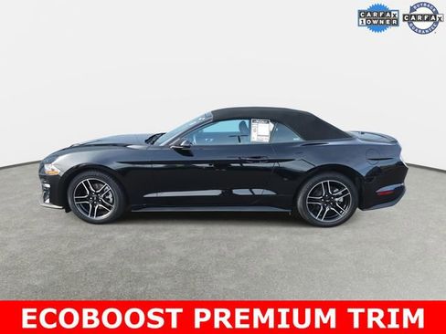 Used 2023 Ford Mustang Premium image 7