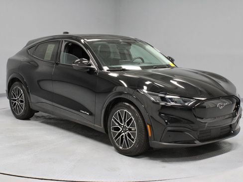 Used 2025 Ford Mustang Mach-E Premium AWD/4WD image 1