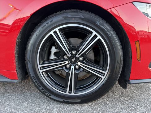 Used 2024 Ford Mustang Premium image 13