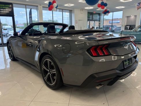 Used 2025 Ford Mustang Premium RWD image 10