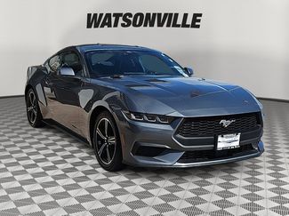 Used 2024 Ford Mustang Coupe image 1