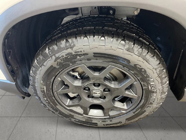 New 2026 Honda Pilot TrailSport image 11