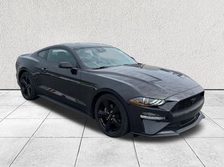 Used 2023 Ford Mustang Premium w/ Mustang Nite Pony Package video 1