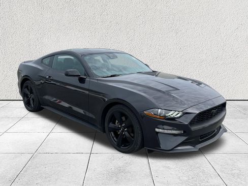 Used 2023 Ford Mustang Premium w/ Mustang Nite Pony Package image 1