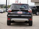 Used 2017 Ford Escape SE w/ SE Cold Weather Package image 4