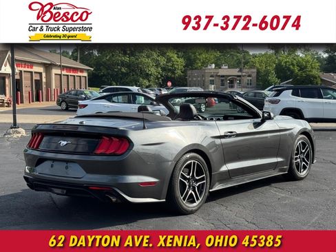 Used 2019 Ford Mustang Premium RWD image 4