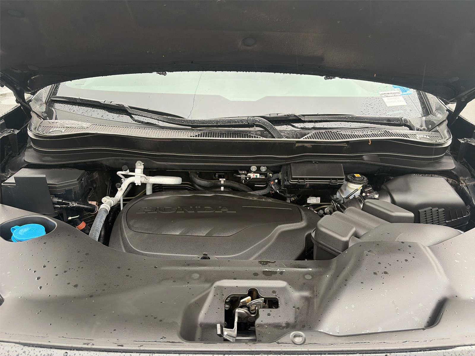 Certified 2024 Honda Passport TrailSport image 30