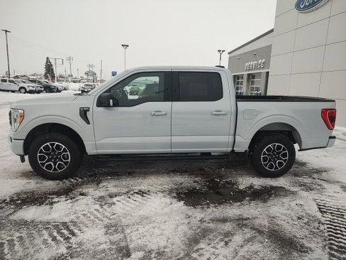 Certified 2022 Ford F150 XLT w/ Equipment Group 302A High image 4