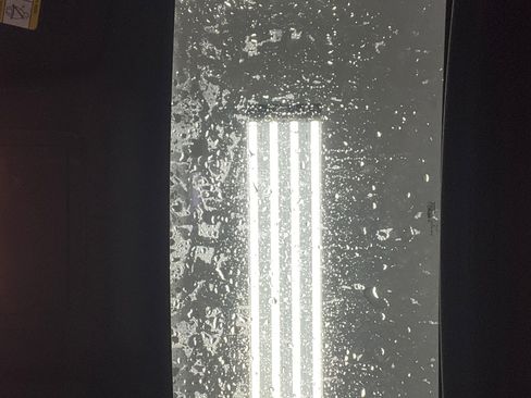 Used 2011 Ford F150 Harley-Davidson image 18